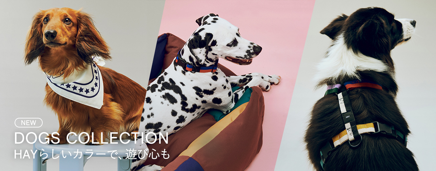 DOGS COLLECTION