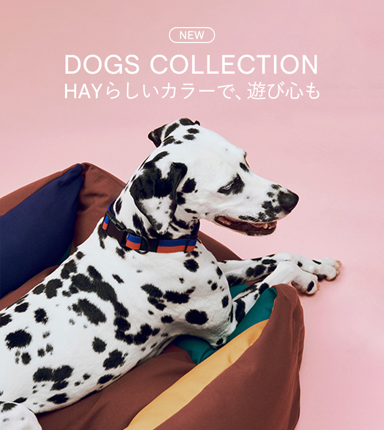 DOGS COLLECTION