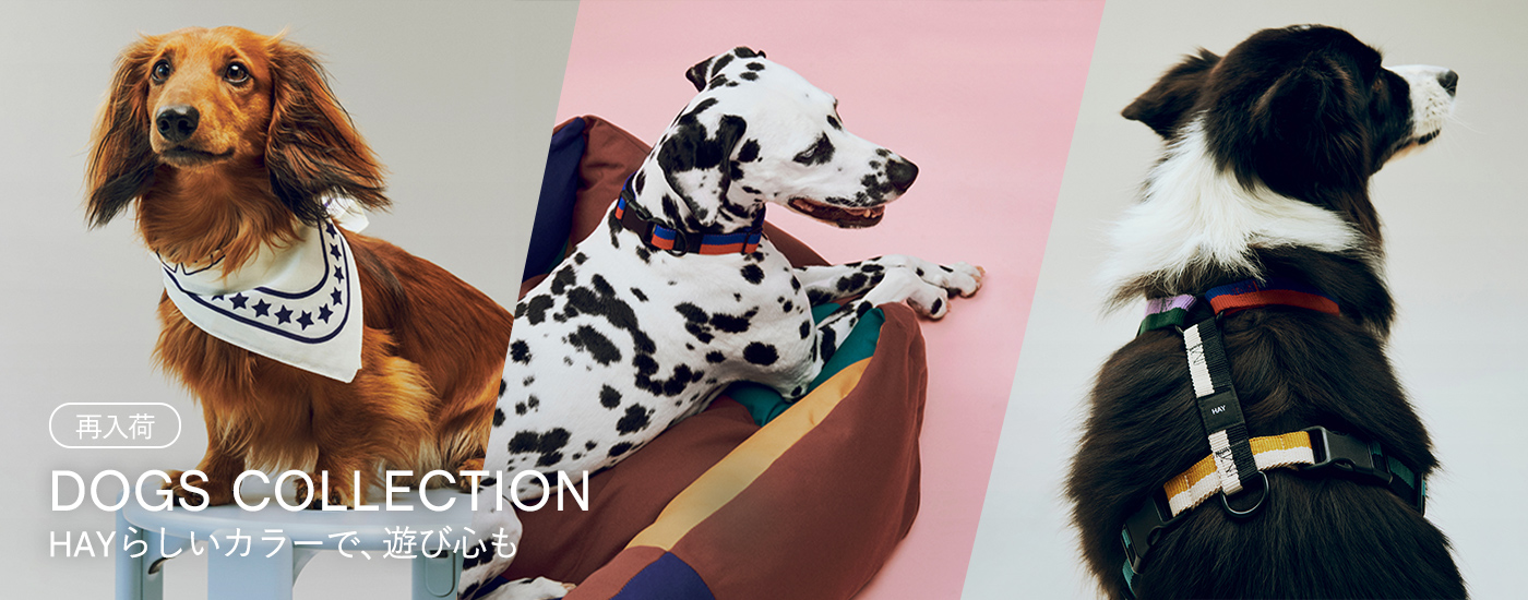 DOGS COLLECTION　HAYらしいカラーで、遊び心も