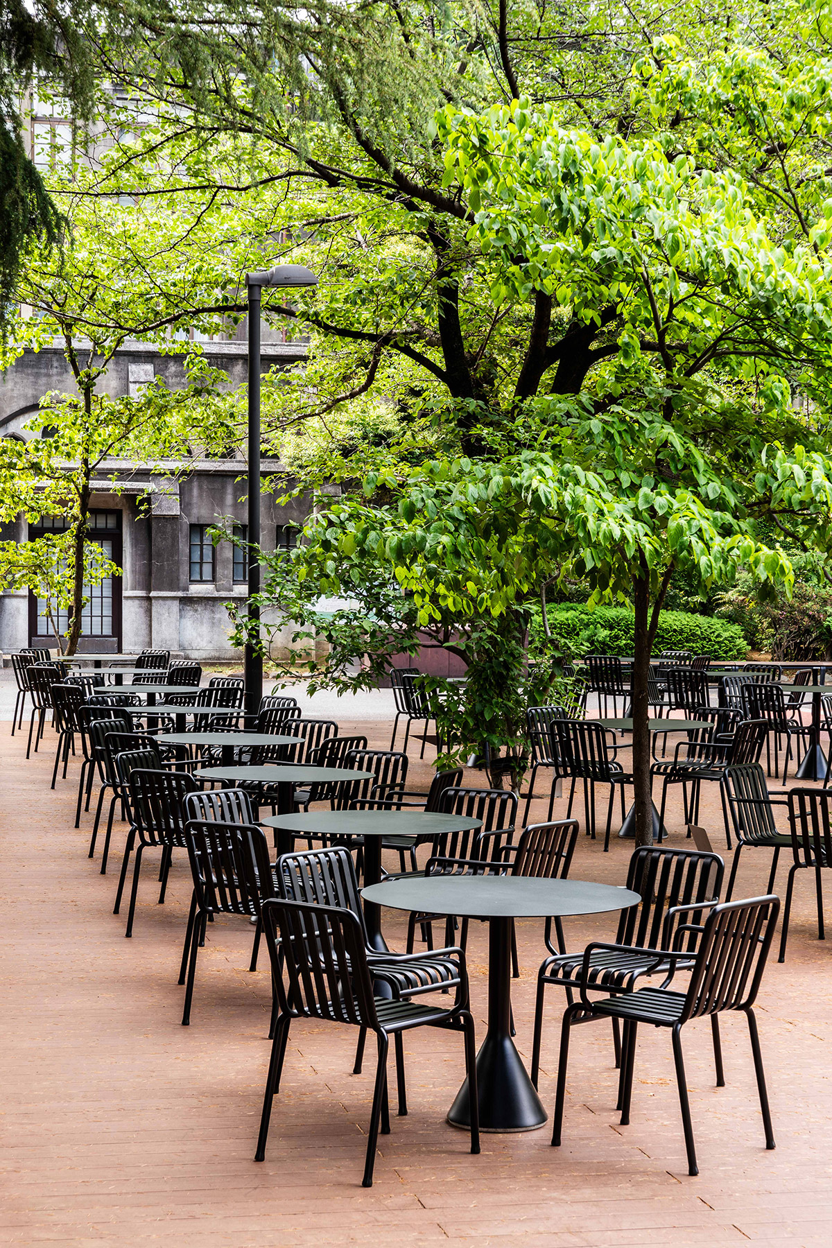 青山学院大学