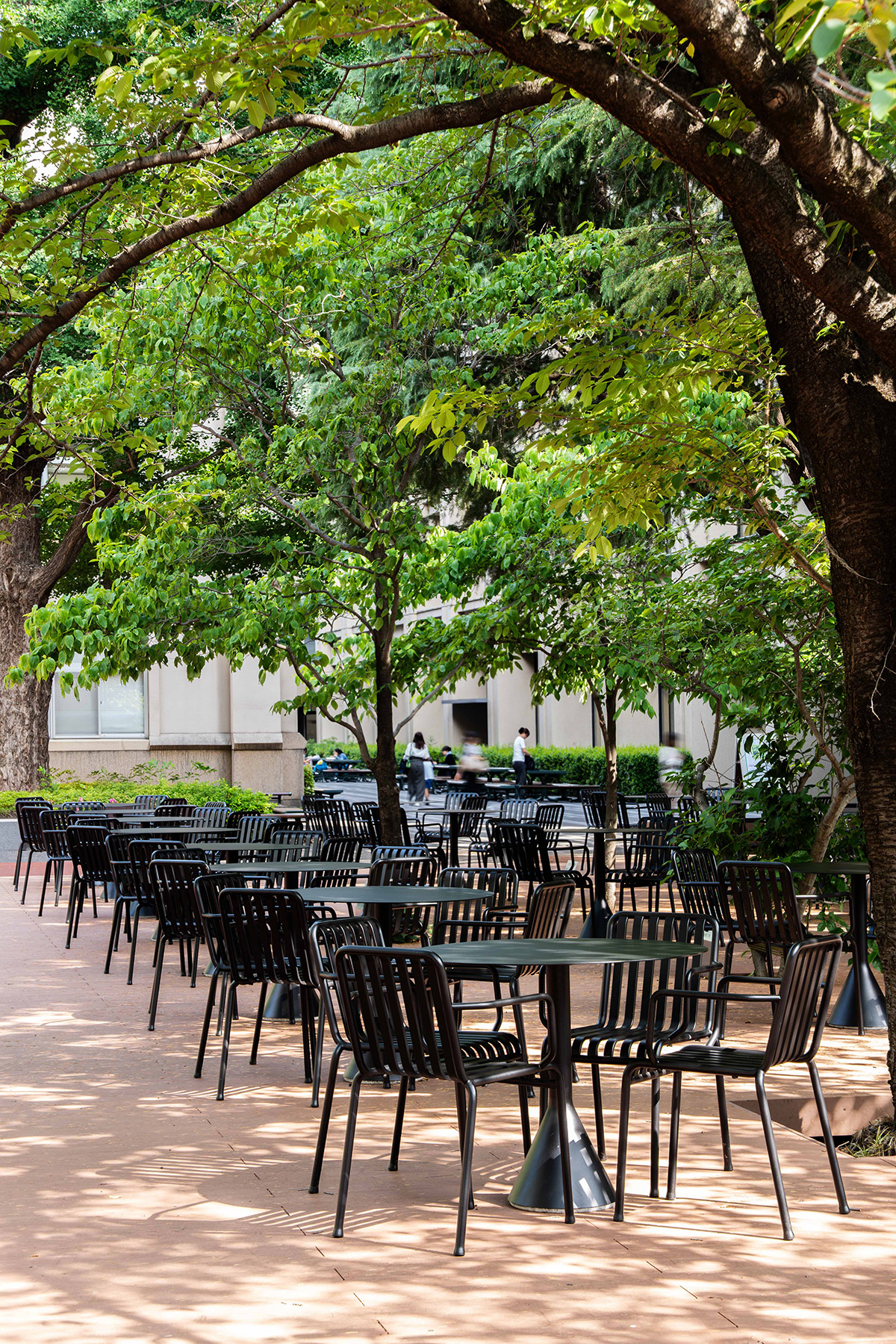 青山学院大学
