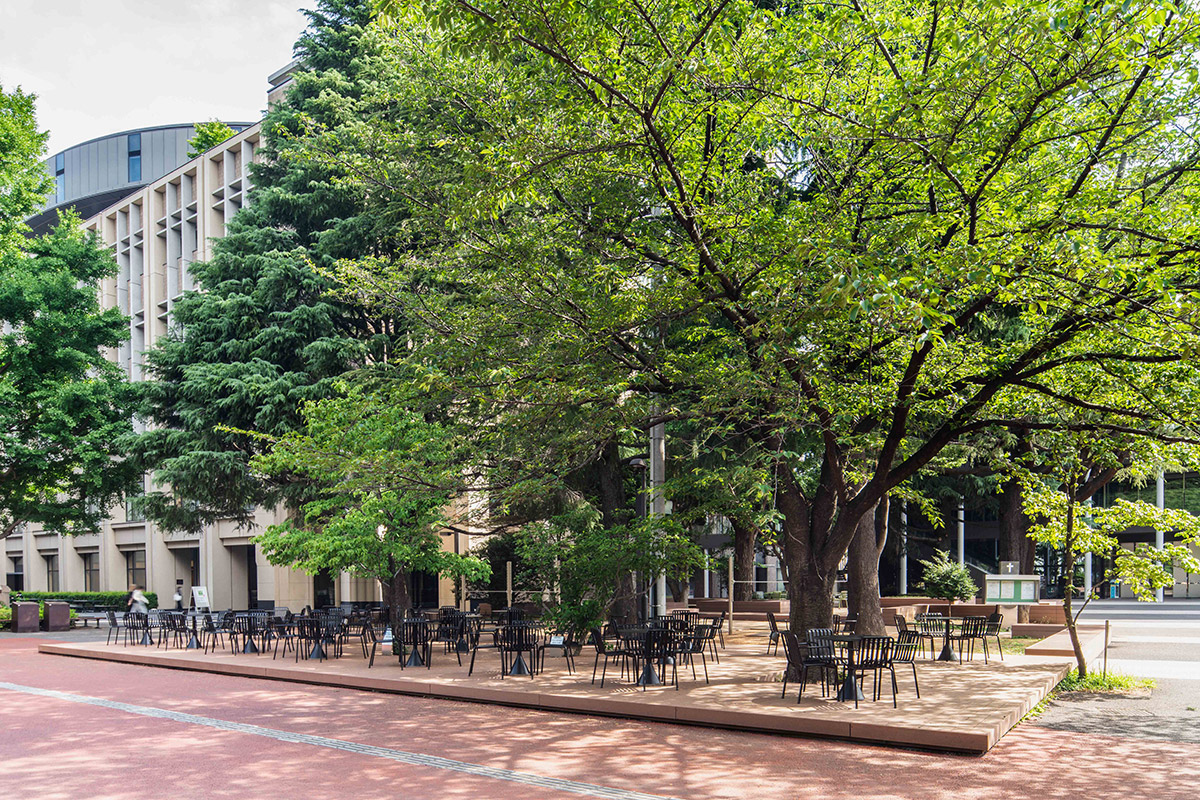 青山学院大学