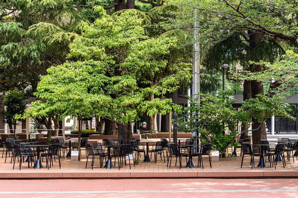 青山学院大学