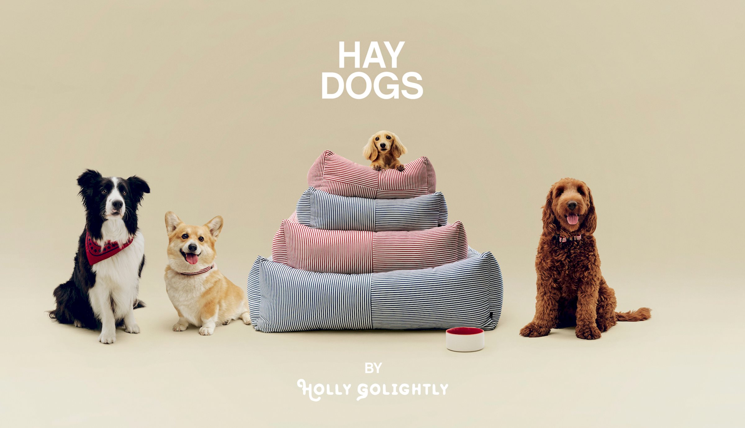 HAY DOGS