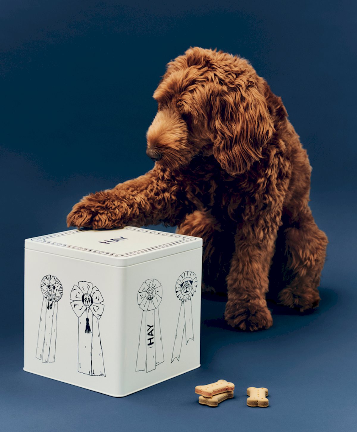 HAY Dogs Food Storage Tin