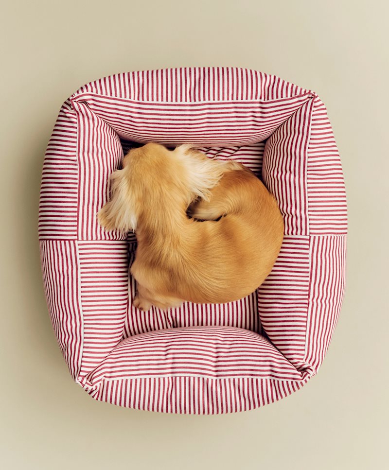 HAY Dogs Bed