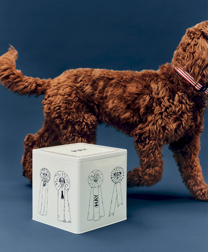 HAY Dogs Food Storage Tin