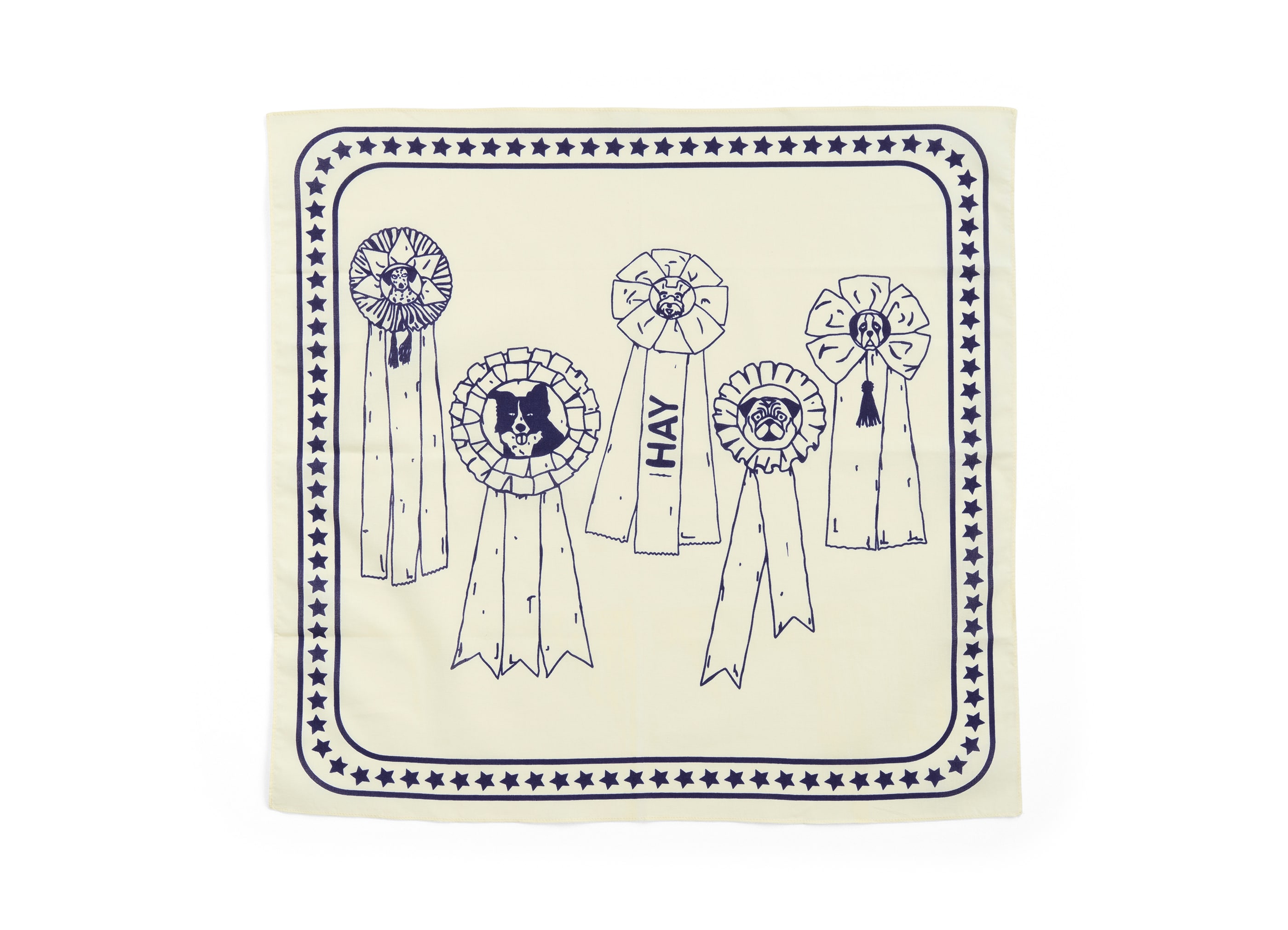 トピックスタイトル画像