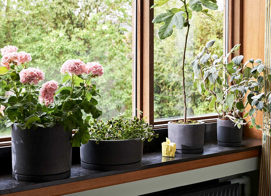 PLANT POT WITH SAUCER XL｜北欧デンマーク インテリアブランドの通販サイト【HAY】 【公式】HAYオンラインストア