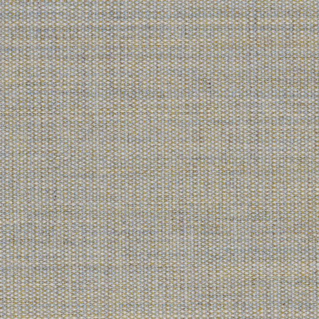 Canvas-224