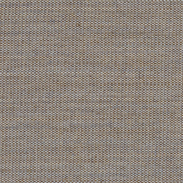 Canvas-244