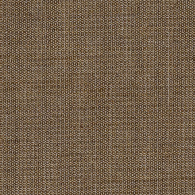 Canvas-254