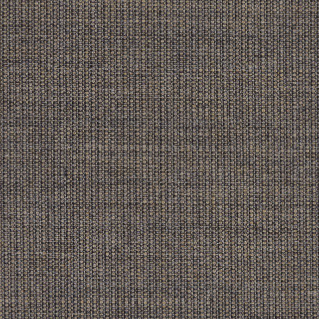 Canvas-264