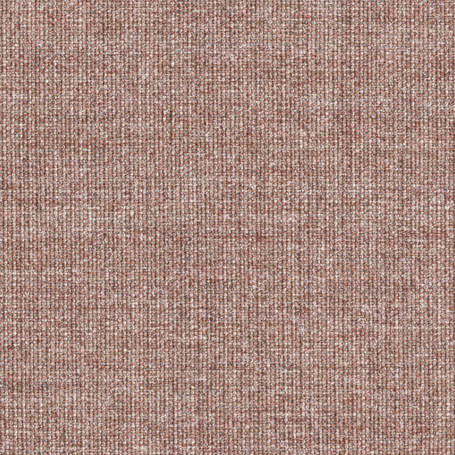 Canvas-356