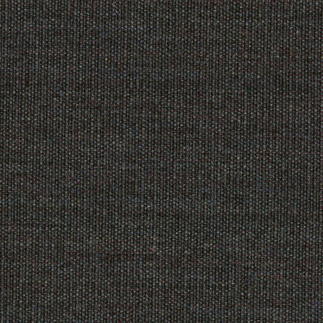 Canvas-364