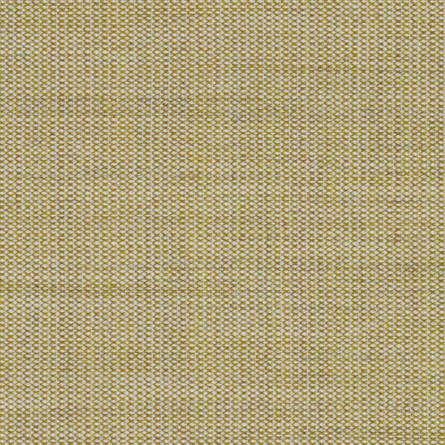Canvas-414