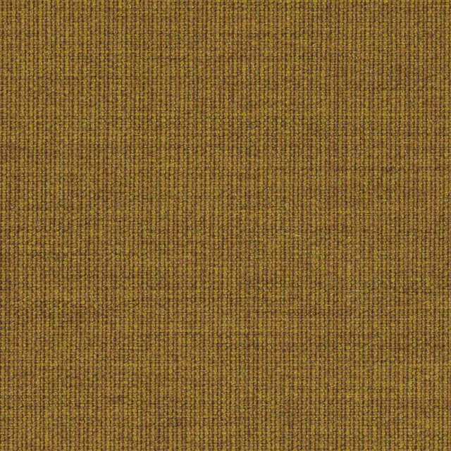 Canvas-424