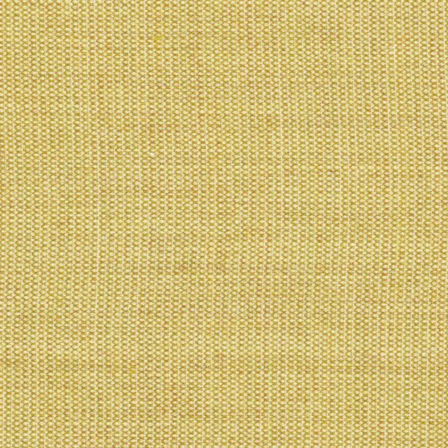 Canvas-446