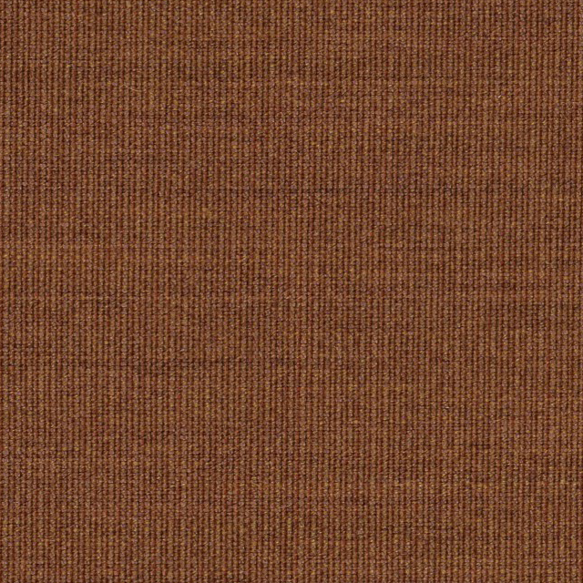Canvas-454