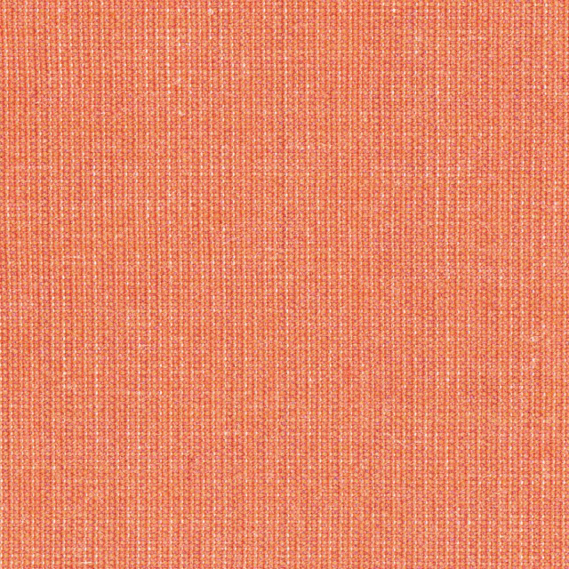 Canvas-546