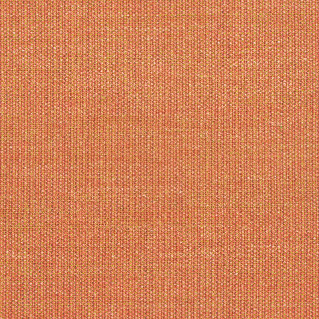 Canvas-556