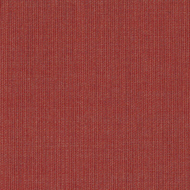 Canvas-644
