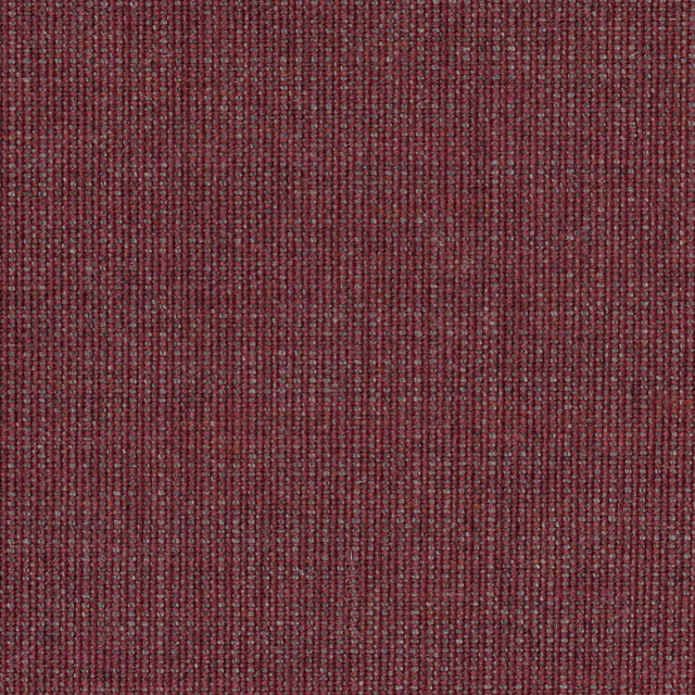 Canvas-654