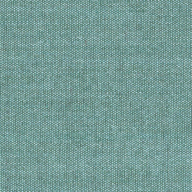 Canvas-836