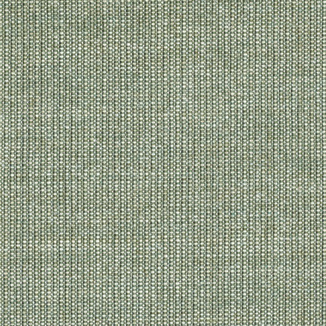 Canvas-926