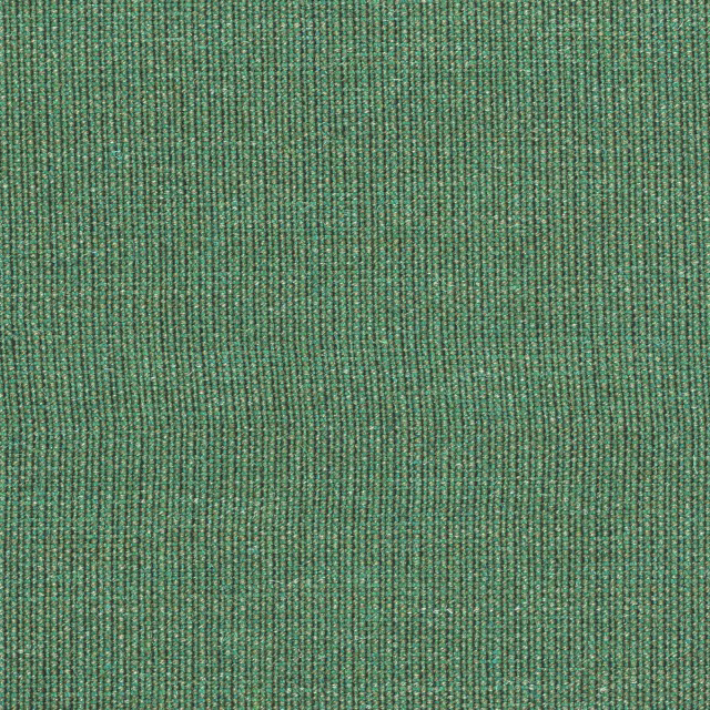 Canvas-946