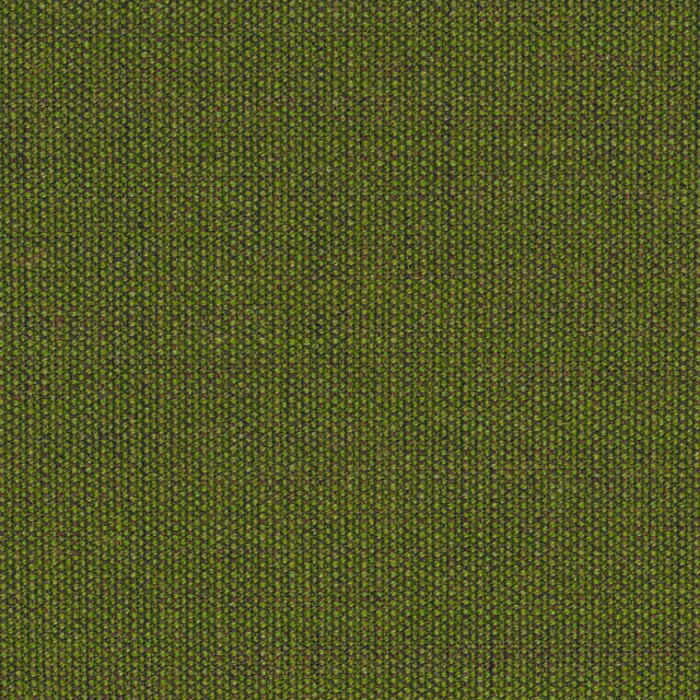 Canvas-954