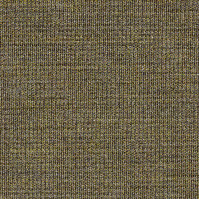 Canvas-964