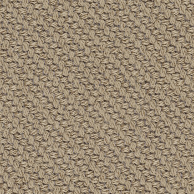 Coda-242