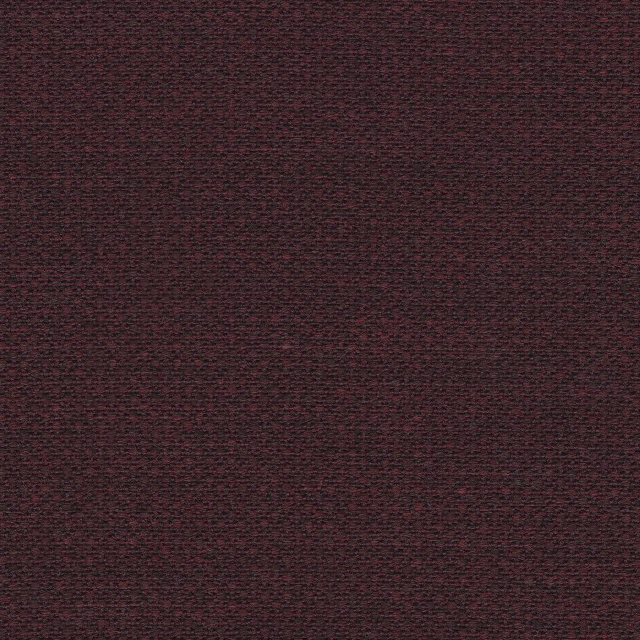 Fiord-591
