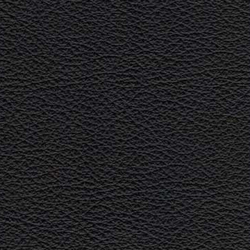 Sierra Leather